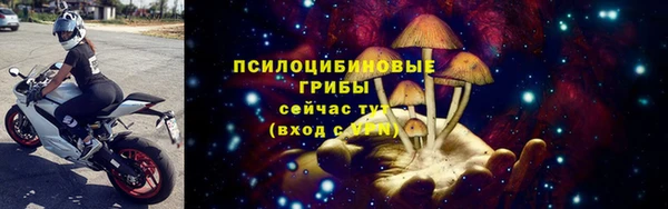 ГАЛЛЮЦИНОГЕННЫЕ ГРИБЫ Балабаново